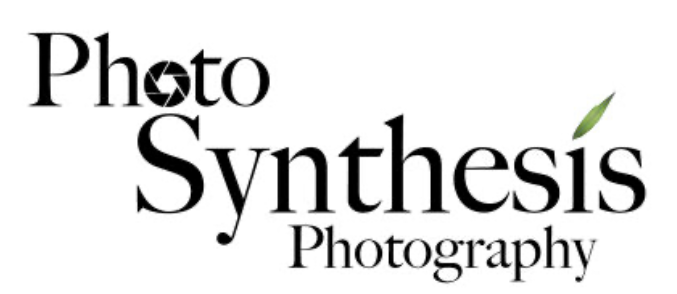 Photo Synthesis Photography
